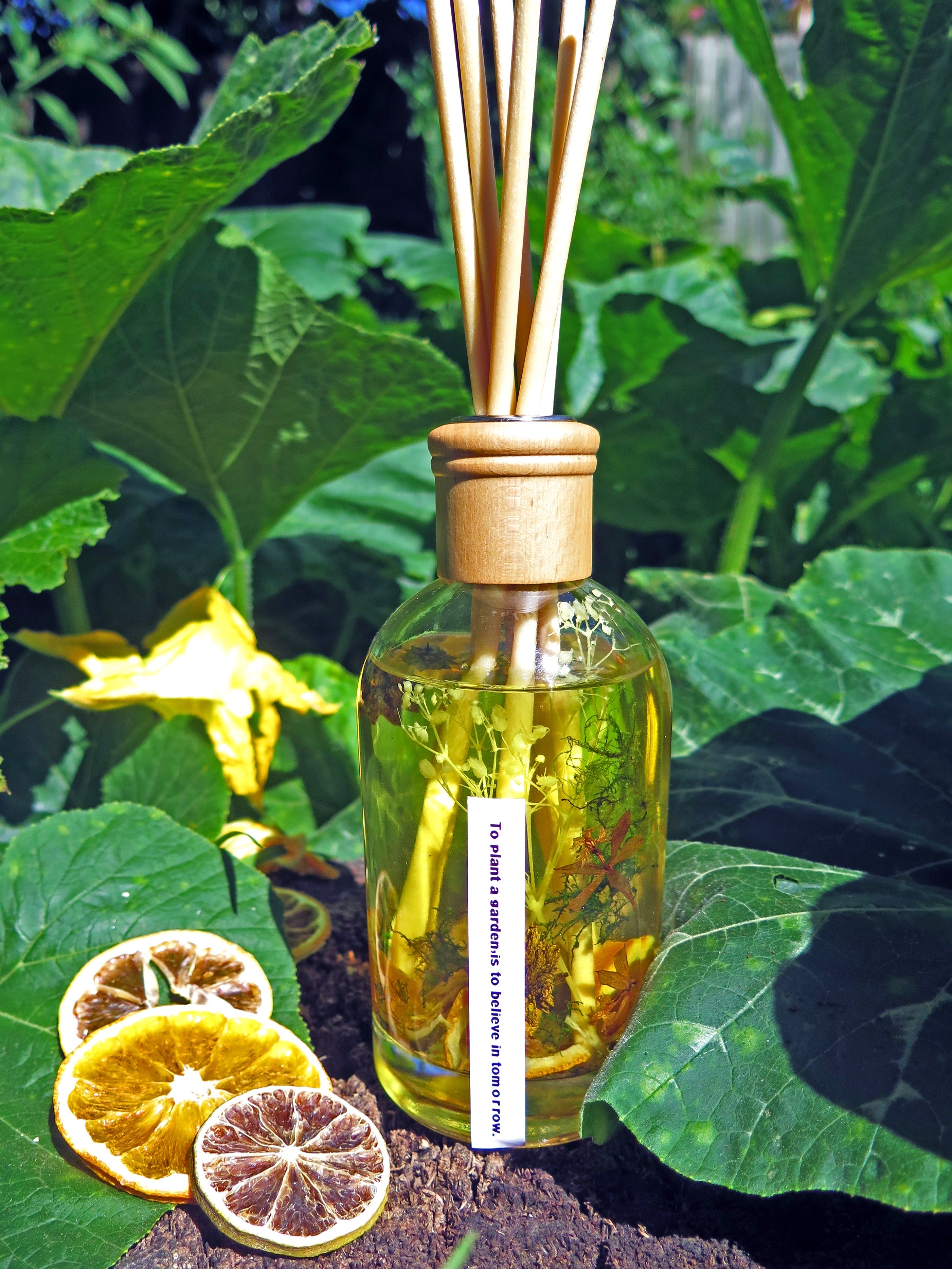 Eden Diffuser(Lime,Basil and Mandarin)